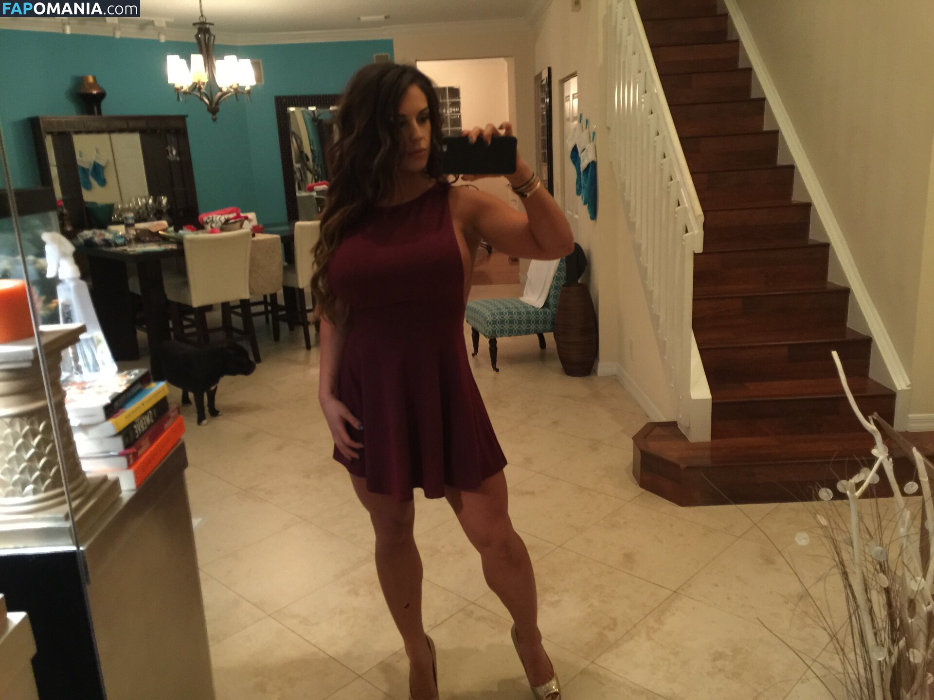 Kaitlyn WWE Обнажённый Утёкшее фото #35