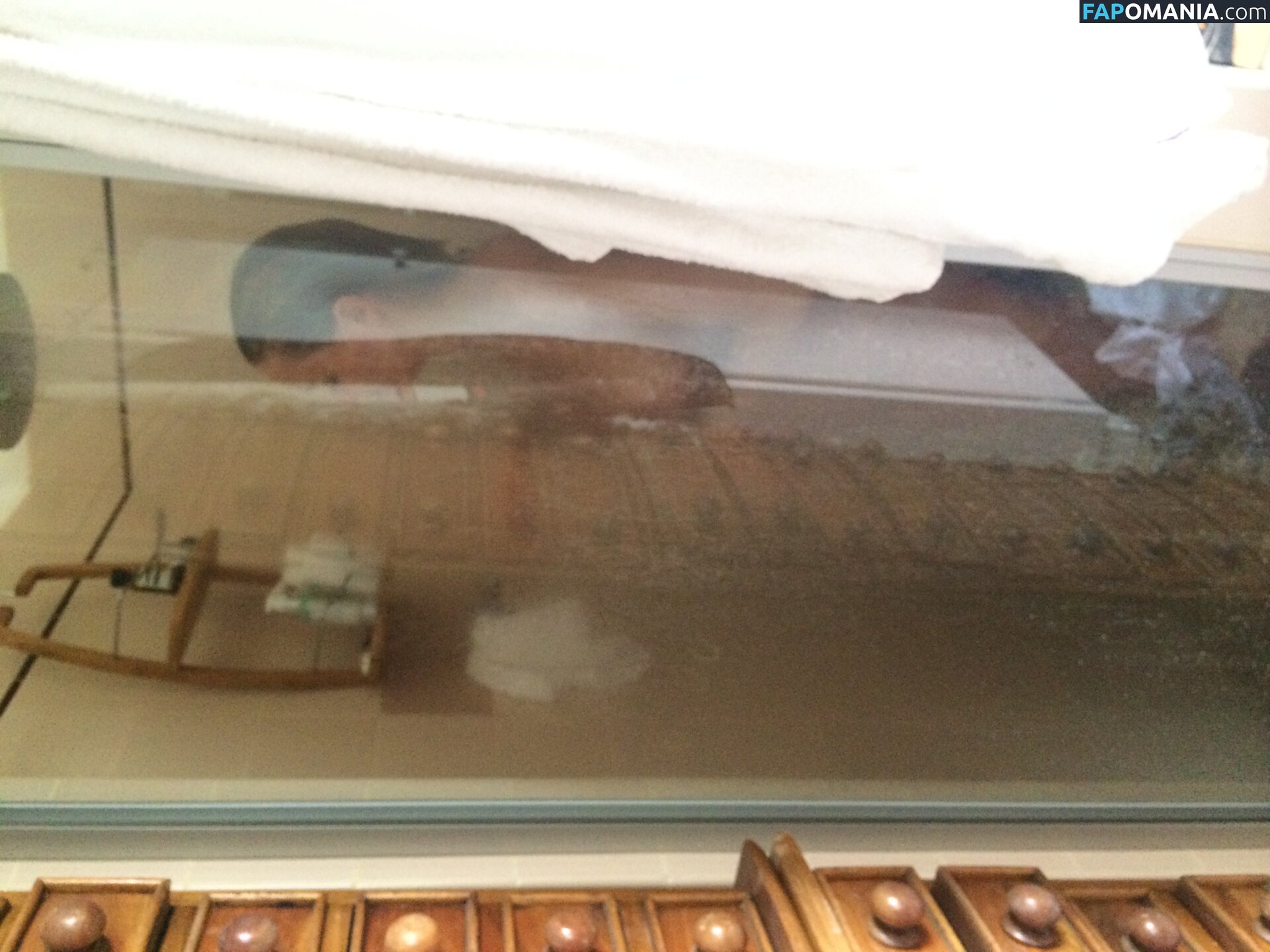 Lara Bingle Обнажённый Утёкшее фото #245