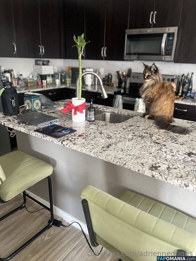 adrienne.driggs / adriennedriggs Обнажённый OnlyFans  Утёкшее фото #9