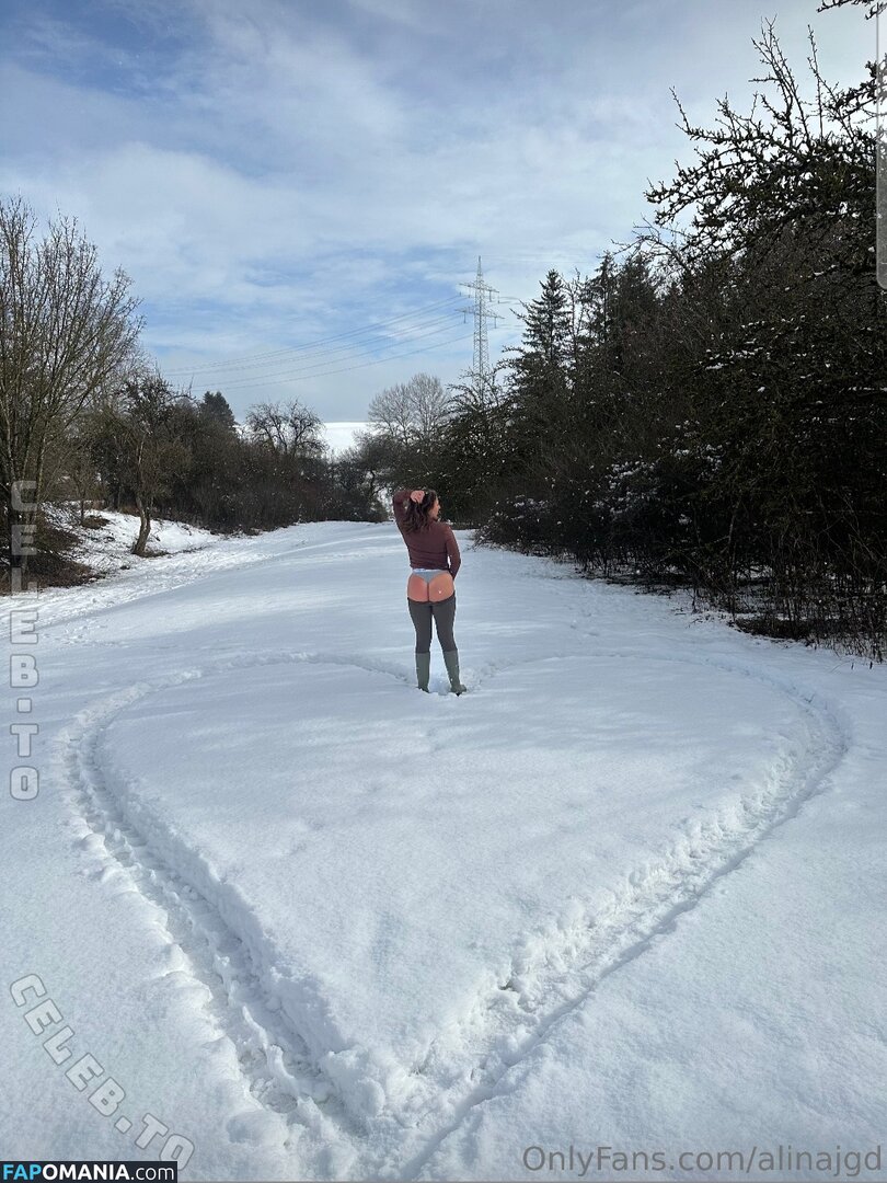 alinajgd / alinas.jgd Обнажённый OnlyFans  Утёкшее фото #1