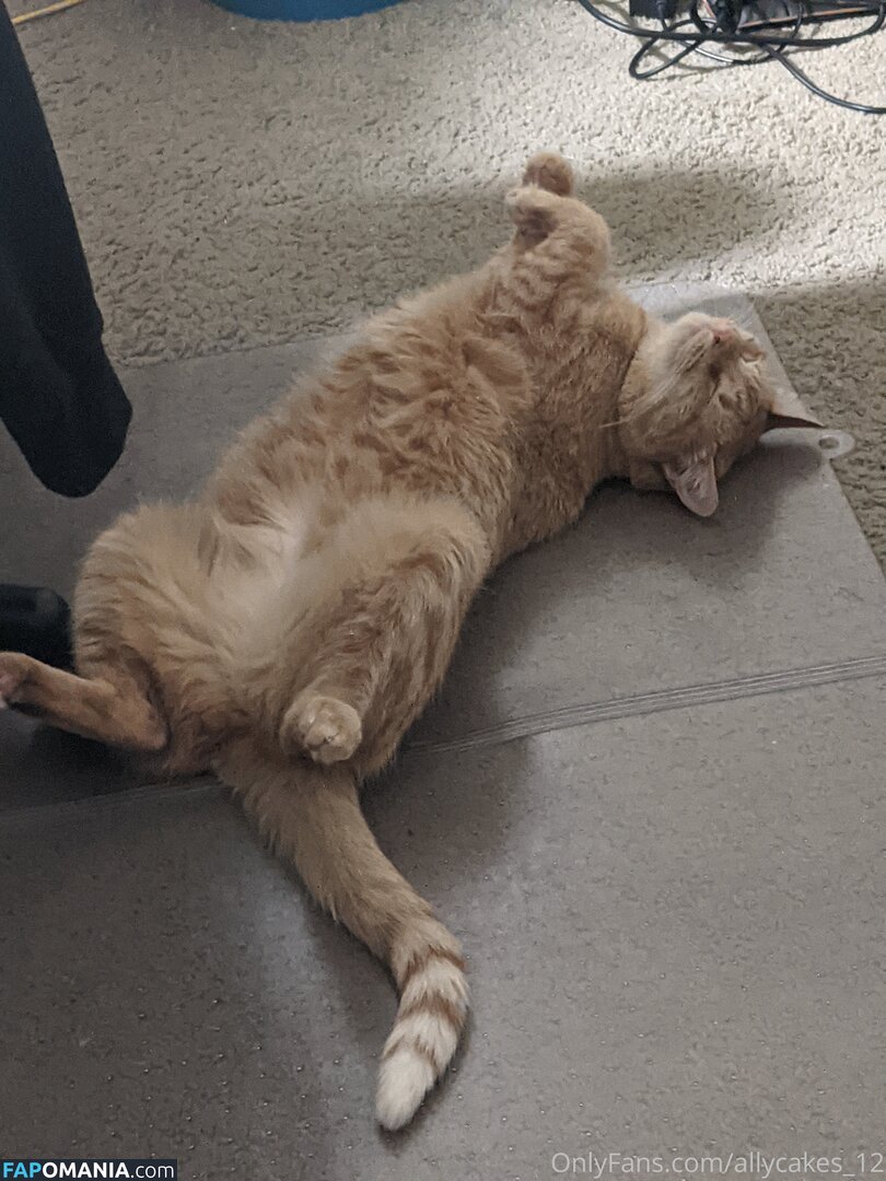 allycakes_12 Обнажённый OnlyFans  Утёкшее фото #3