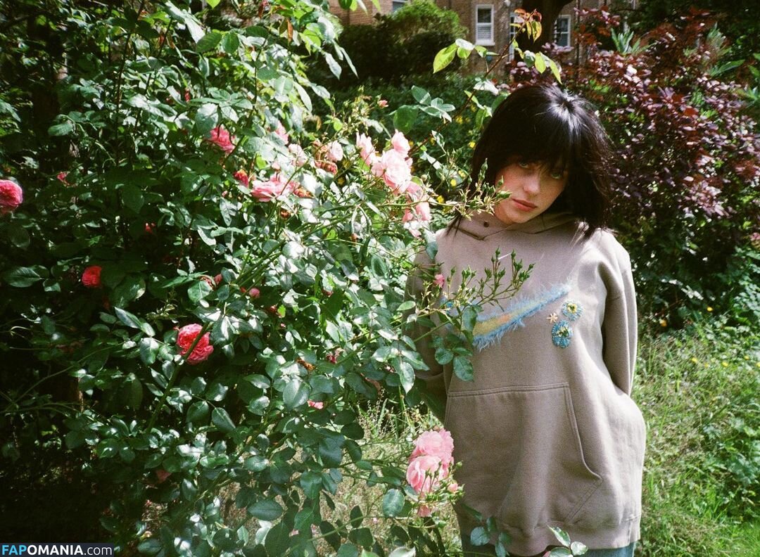 Billie Eilish / Fake / billeeilish / billieeilish Обнажённый OnlyFans  Утёкшее фото #2228