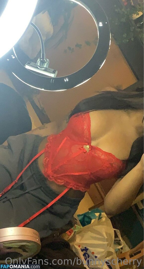 Bunnyscherry / bunnycherry4741 Обнажённый OnlyFans  Утёкшее фото #14