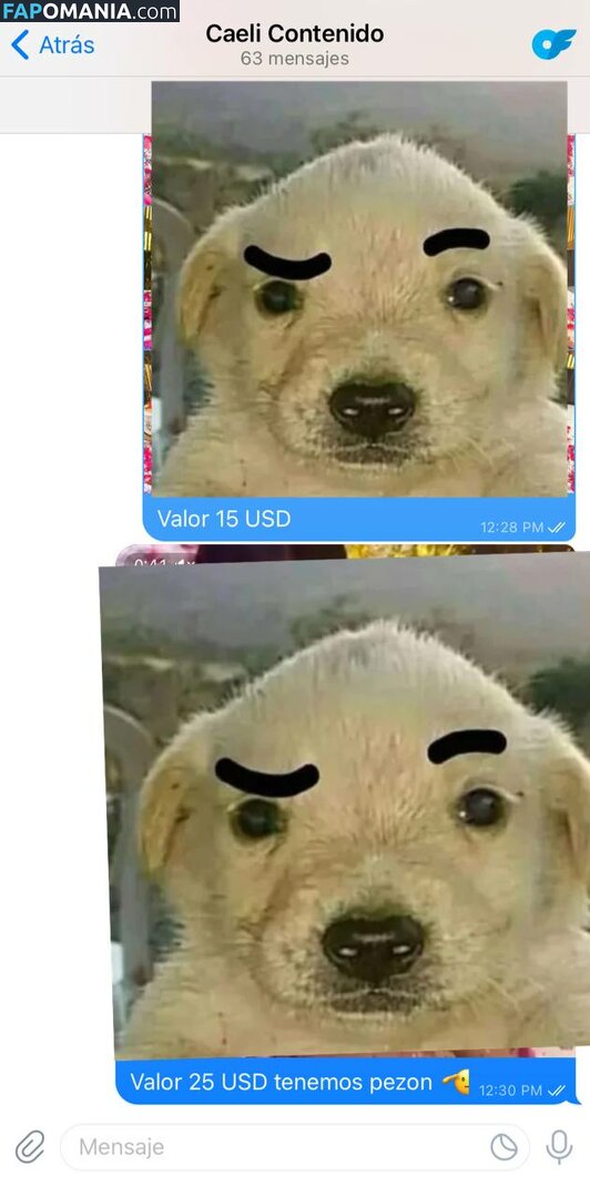 Caeli / Caelike / Caeliyt / caeliexclusive Обнажённый OnlyFans  Утёкшее фото #160