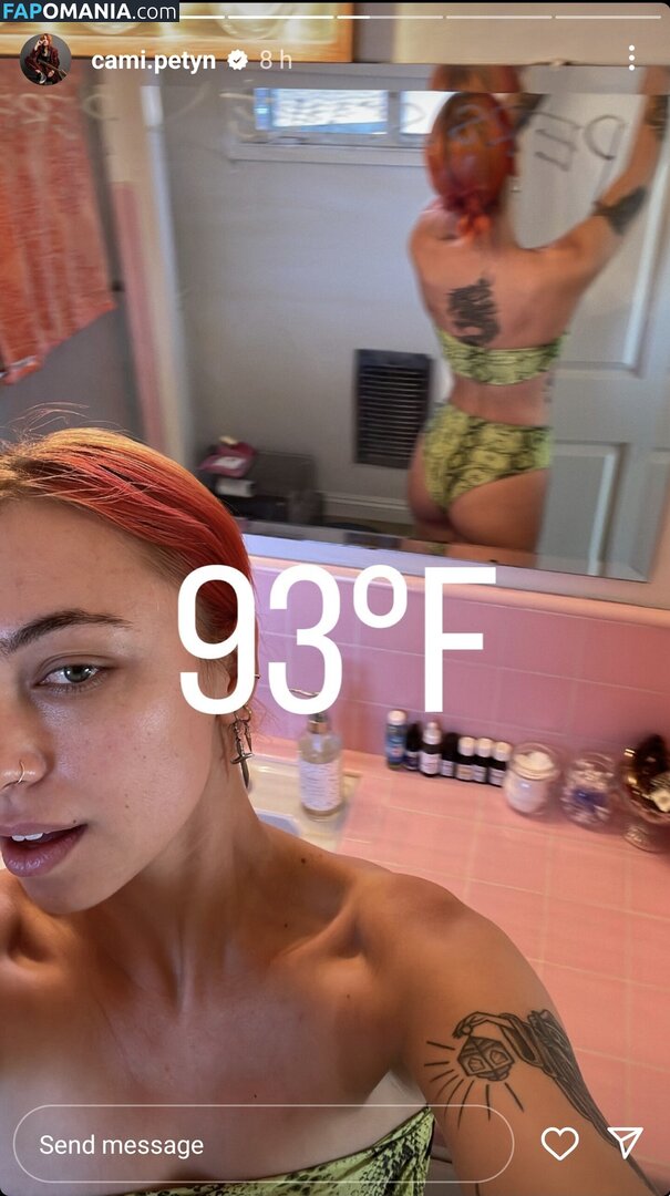 Cami Petyn / cami.petyn / camipetyn Обнажённый OnlyFans  Утёкшее фото #34