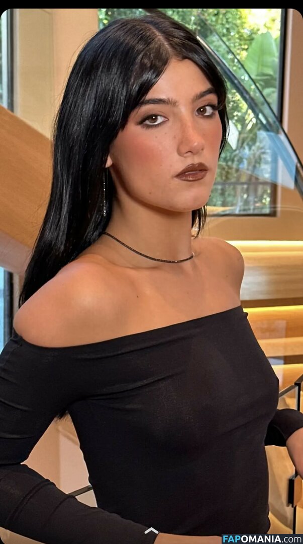 Charli D'Amelio / Charli Damelio / charlidamelio / charliesdamelio Обнажённый OnlyFans  Утёкшее фото #20