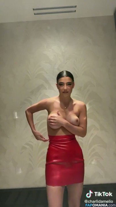 Charli D'Amelio / Charli Damelio / charlidamelio / charliesdamelio Обнажённый OnlyFans  Утёкшее фото #72
