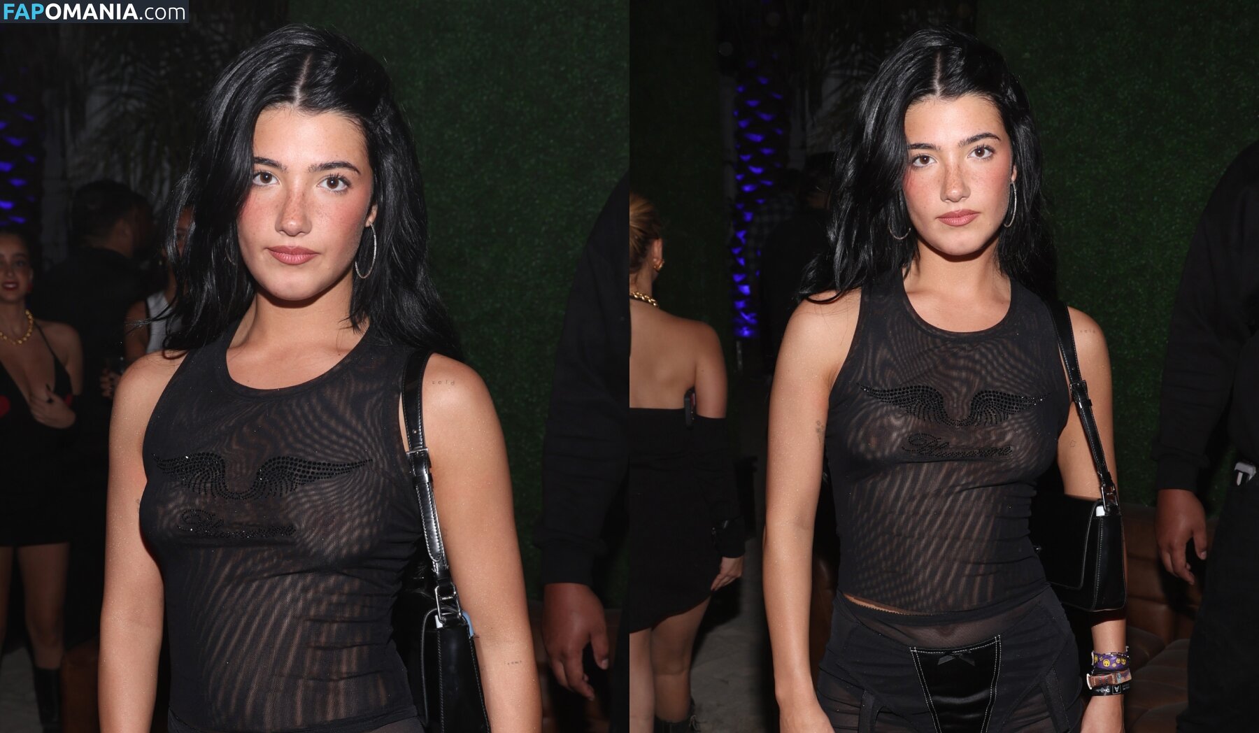 Charli D'Amelio / Charli Damelio / charlidamelio / charliesdamelio Обнажённый OnlyFans  Утёкшее фото #1550