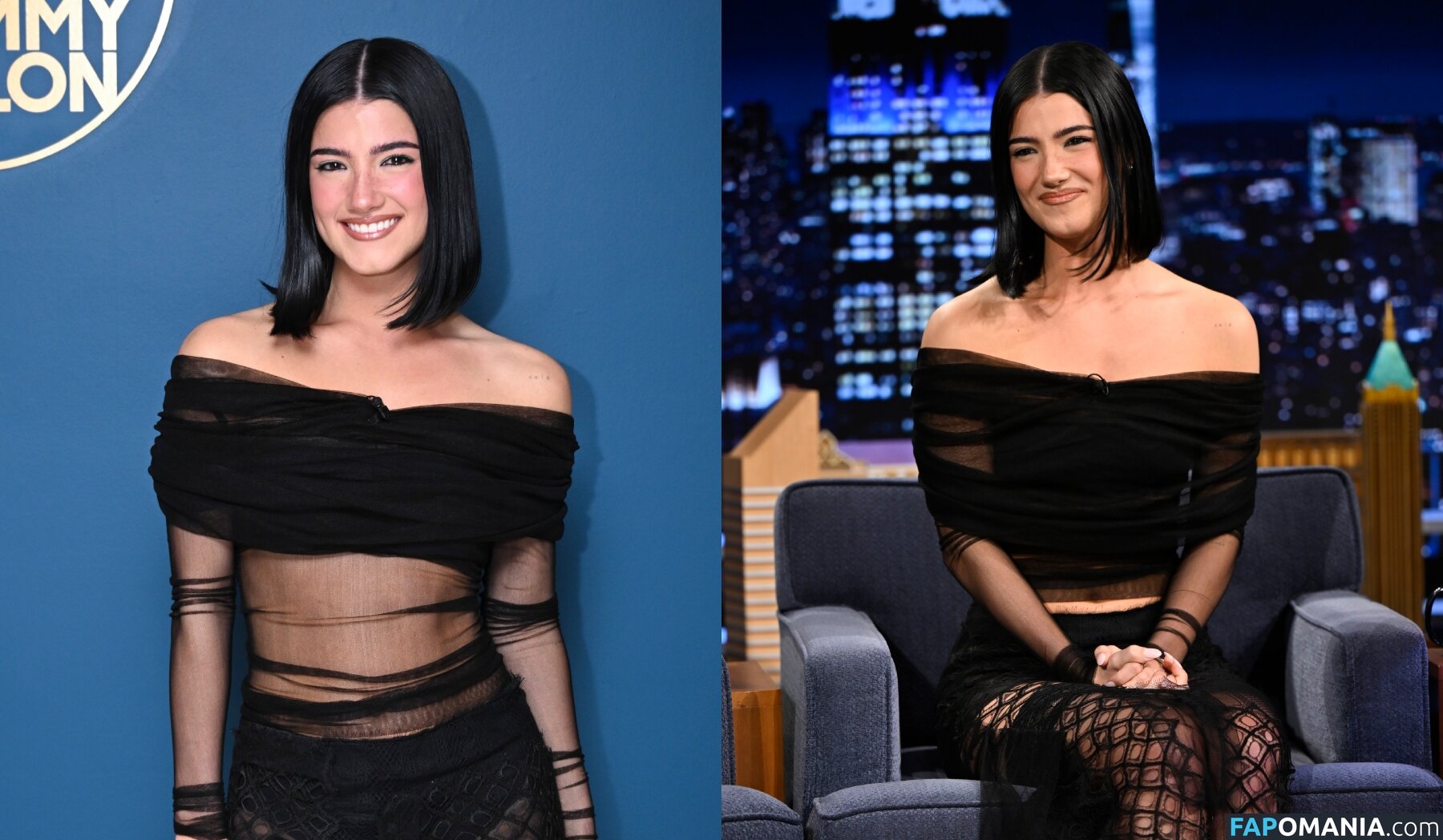 Charli D'Amelio / Charli Damelio / charlidamelio / charliesdamelio Обнажённый OnlyFans  Утёкшее фото #1560