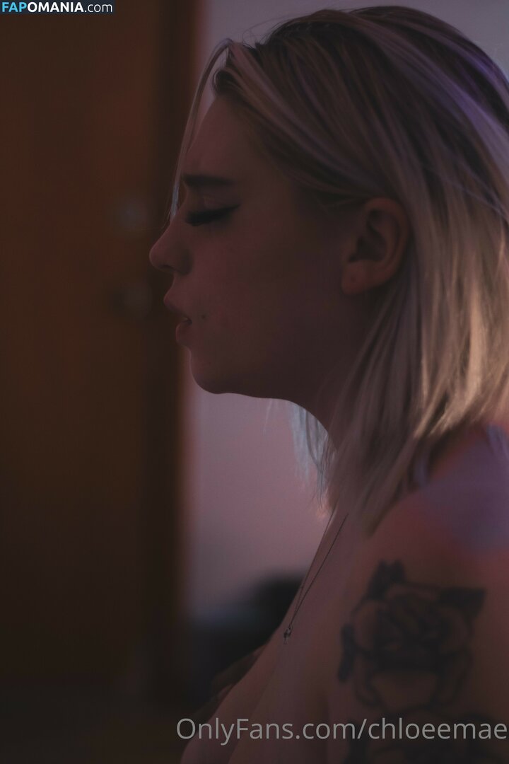 Chloee Mae / chloeemae / chloeemaecasual / chloeemaexoxo Обнажённый OnlyFans  Утёкшее фото #128