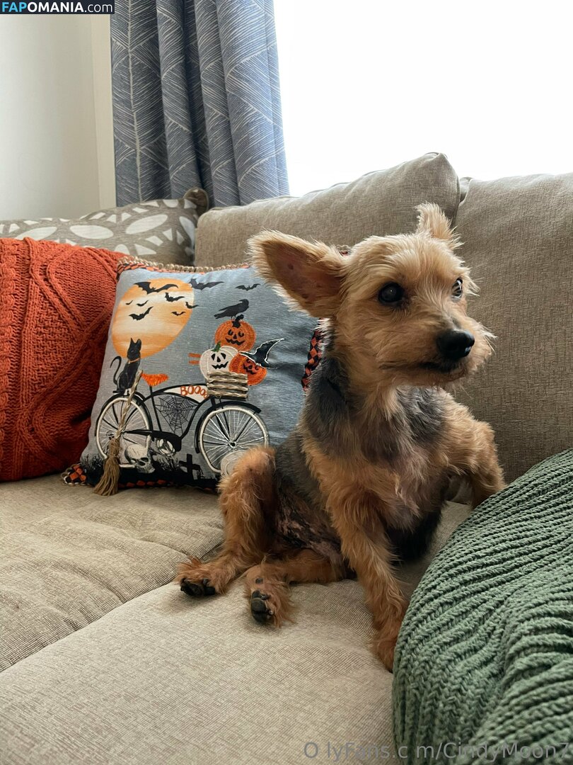 cindymoon007 / cindymoon7 Обнажённый OnlyFans  Утёкшее фото #280