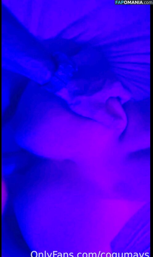 Cogumays / Mayara Vér Meyer Обнажённый OnlyFans  Утёкшее фото #465