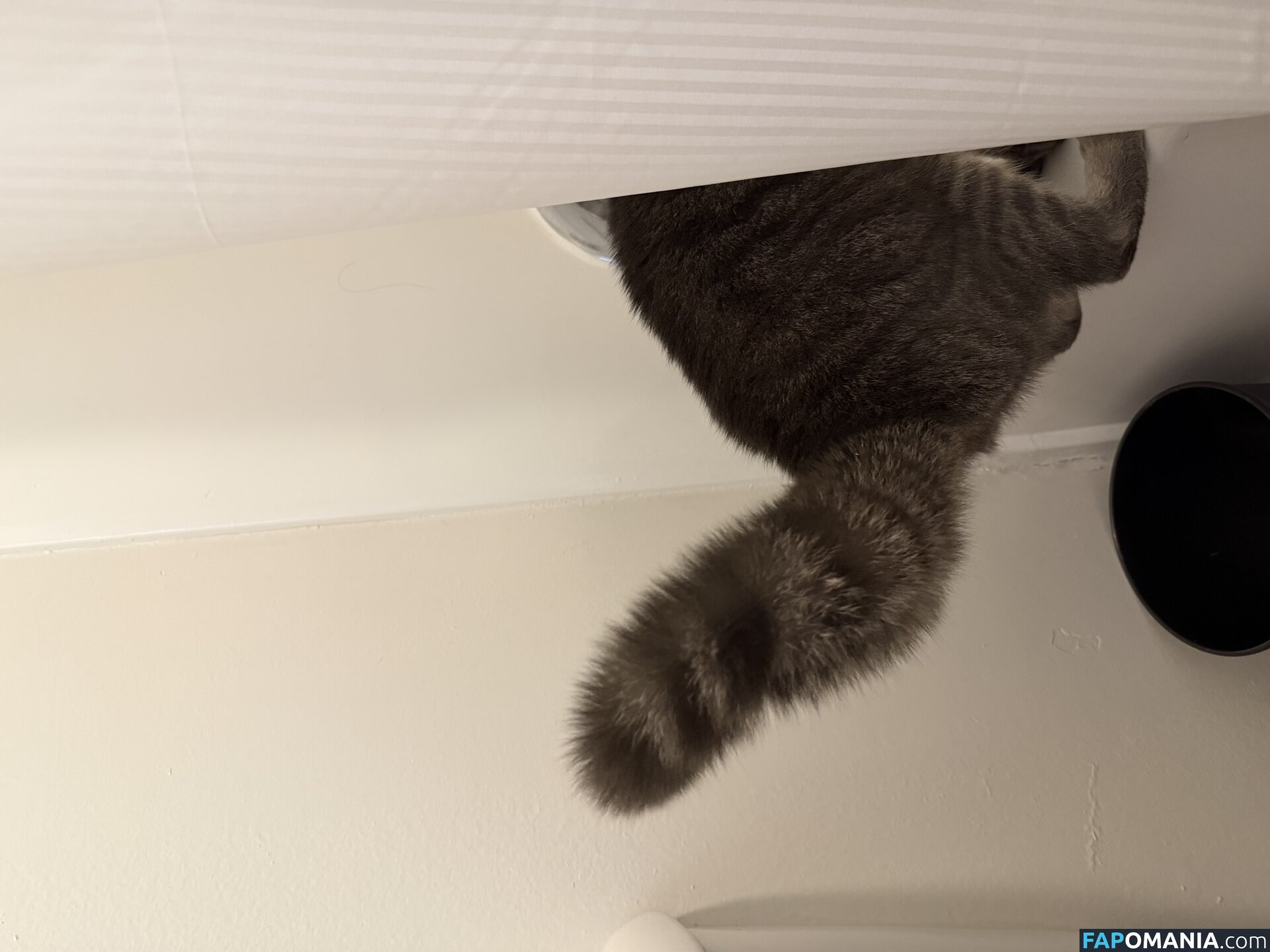 dahniks / dahnikz Обнажённый OnlyFans  Утёкшее фото #15