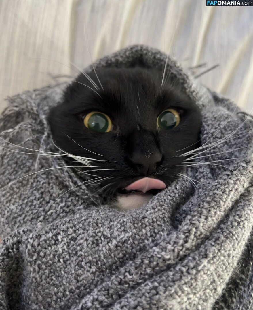 dahniks / dahnikz Обнажённый OnlyFans  Утёкшее фото #19