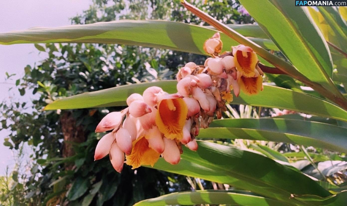 Erin Ashford / erinashford / erincaity Обнажённый OnlyFans  Утёкшее фото #11