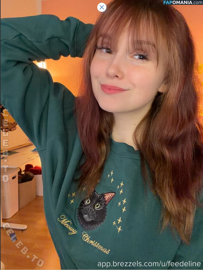 Feedeline / itsonly_feli Обнажённый OnlyFans  Утёкшее фото #1