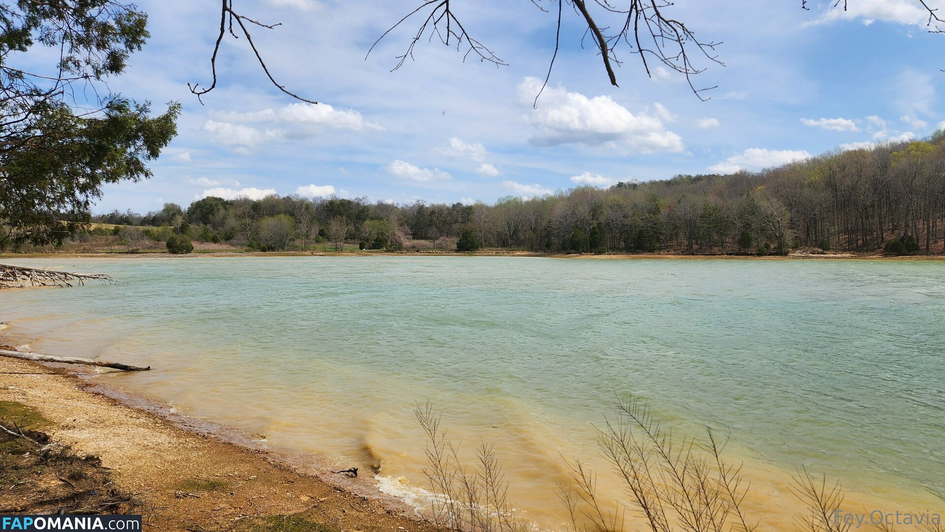 fey.octavia.free / feyoctavia Обнажённый OnlyFans  Утёкшее фото #7