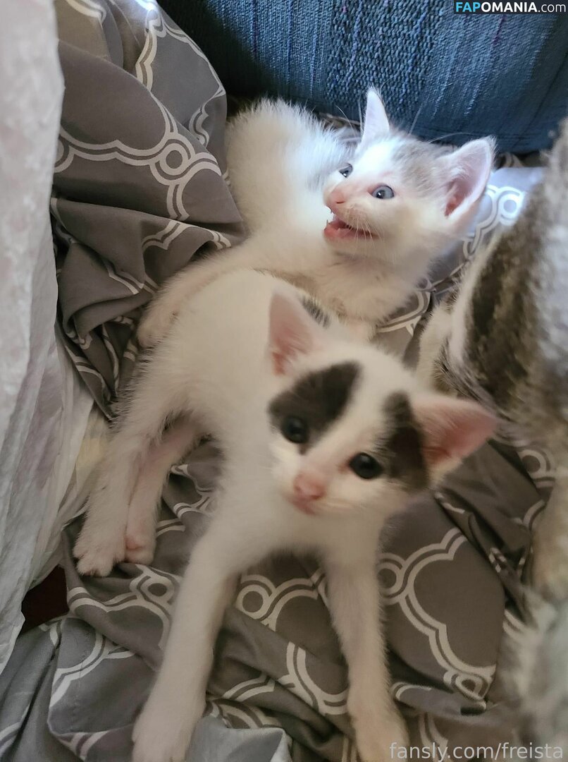 Freista / Tittykona / _mofreitas Обнажённый OnlyFans  Утёкшее фото #16