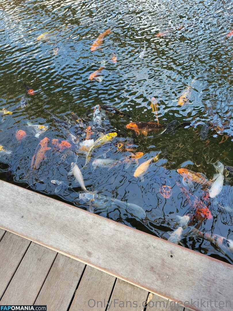 geekikitten / geekykittenxo Обнажённый OnlyFans  Утёкшее фото #4