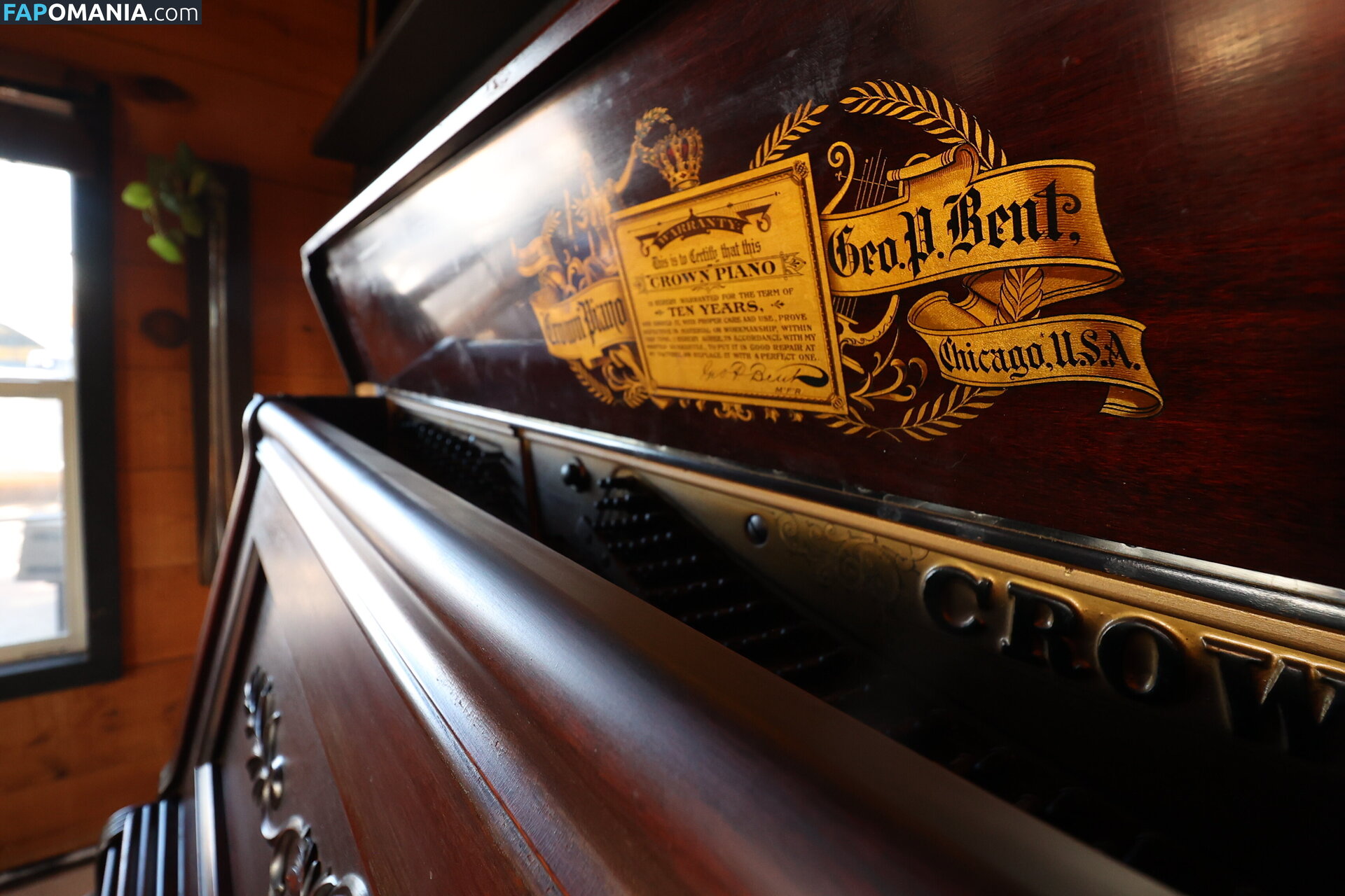 harlemhookup Обнажённый OnlyFans  Утёкшее фото #20