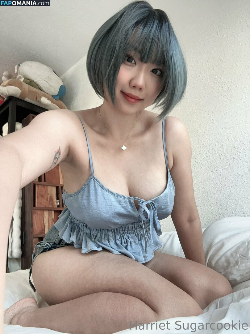 HSugarCookie / Harriet Sugarcookie / harrietsugarcookie / iamharrietsugarcookie Обнажённый OnlyFans  Утёкшее фото #85