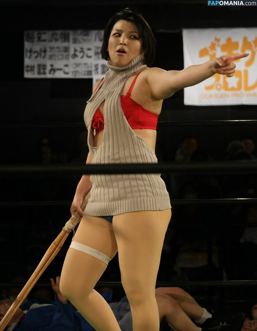 Hikaru Shida / shidahikaru Обнажённый OnlyFans  Утёкшее фото #10