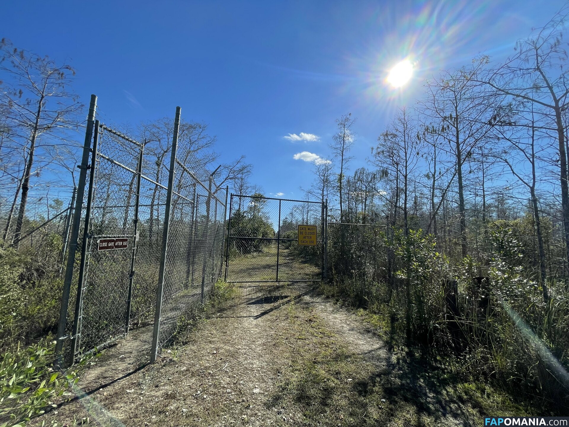 debiiworks / iambigduch Обнажённый OnlyFans  Утёкшее фото #59