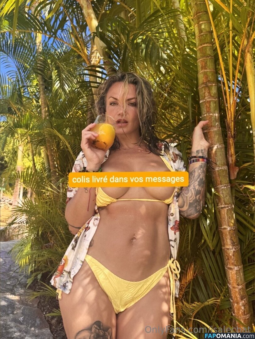 Isabelle Desjardins / isalechat Обнажённый OnlyFans  Утёкшее фото #12