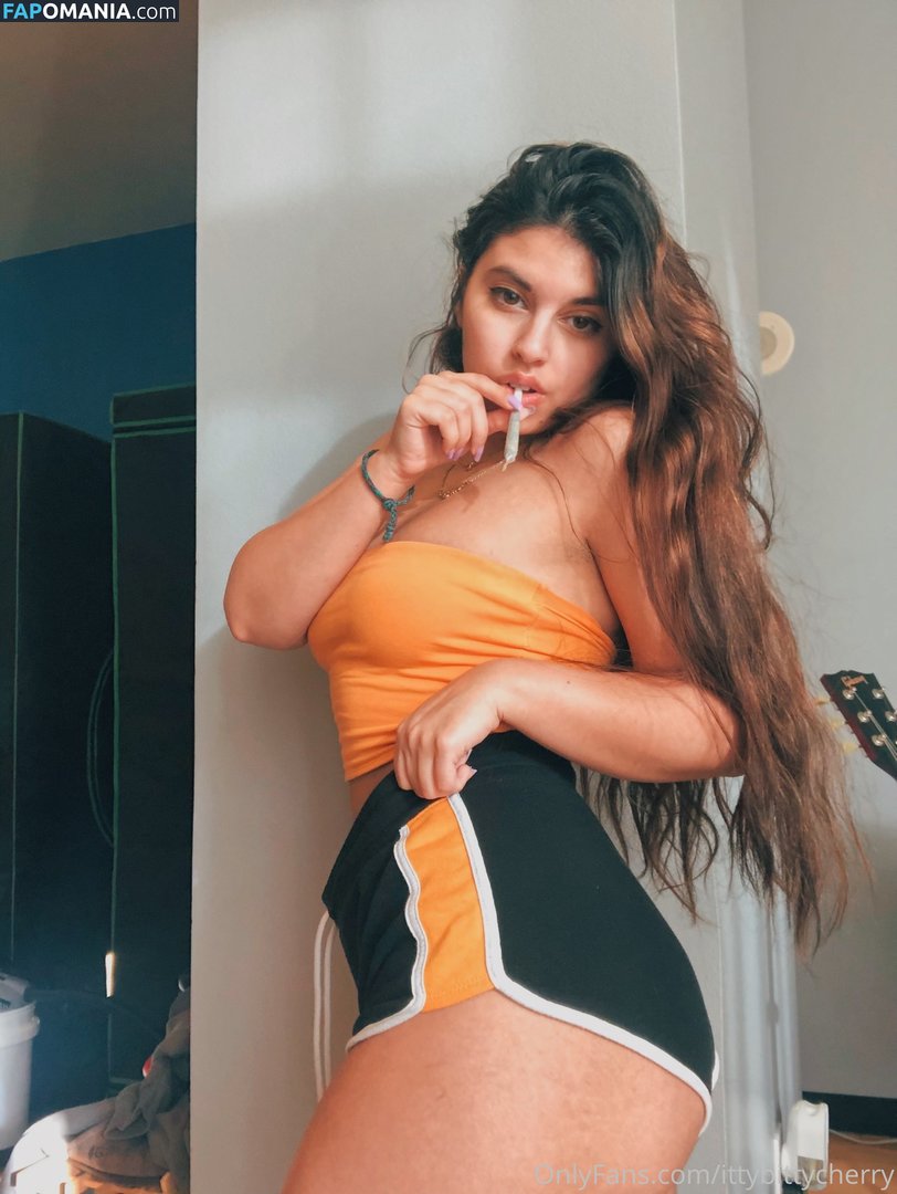 ittybittycherry Обнажённый OnlyFans  Утёкшее фото #29