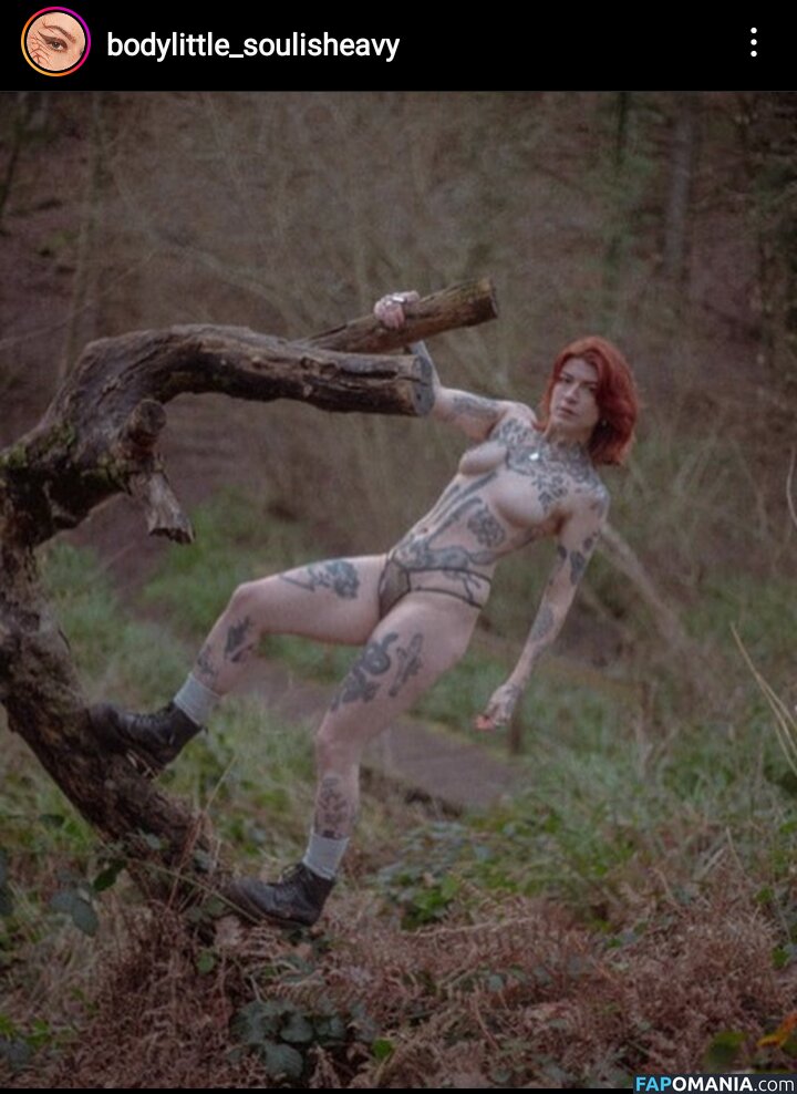 IvyElf / bodylittle_soulisheavy / bodylittlesoulisheavy Обнажённый OnlyFans  Утёкшее фото #42