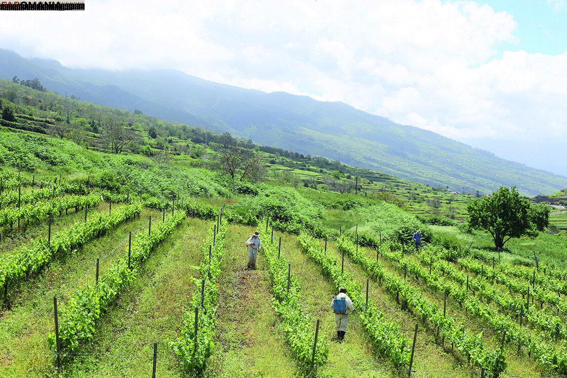 julia_lyn Обнажённый OnlyFans  Утёкшее фото #10