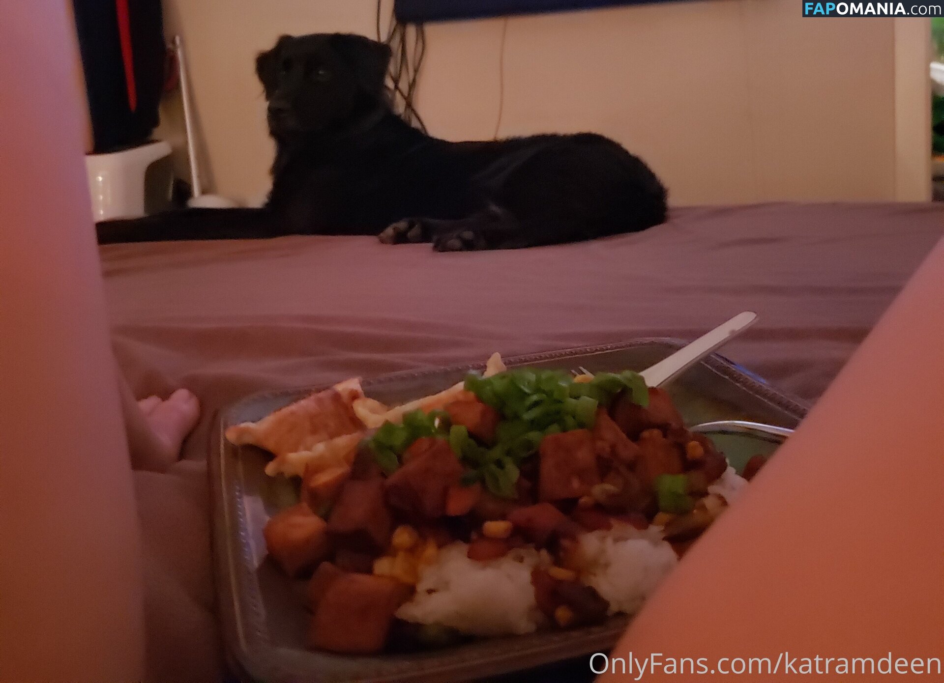 Katherine Ramdeen Обнажённый OnlyFans  Утёкшее фото #14