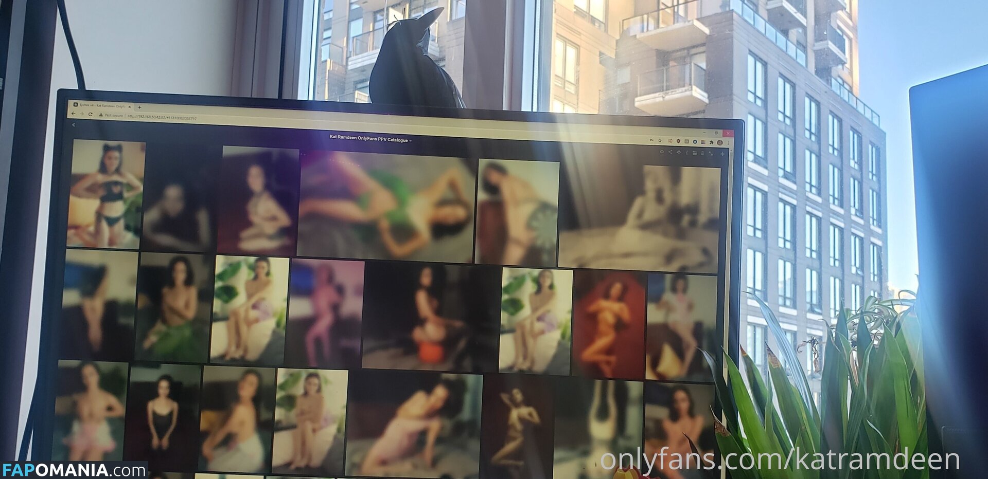 Katherine Ramdeen Обнажённый OnlyFans  Утёкшее фото #17