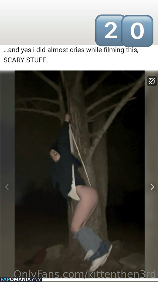 kittenthen3rd Обнажённый OnlyFans  Утёкшее фото #12