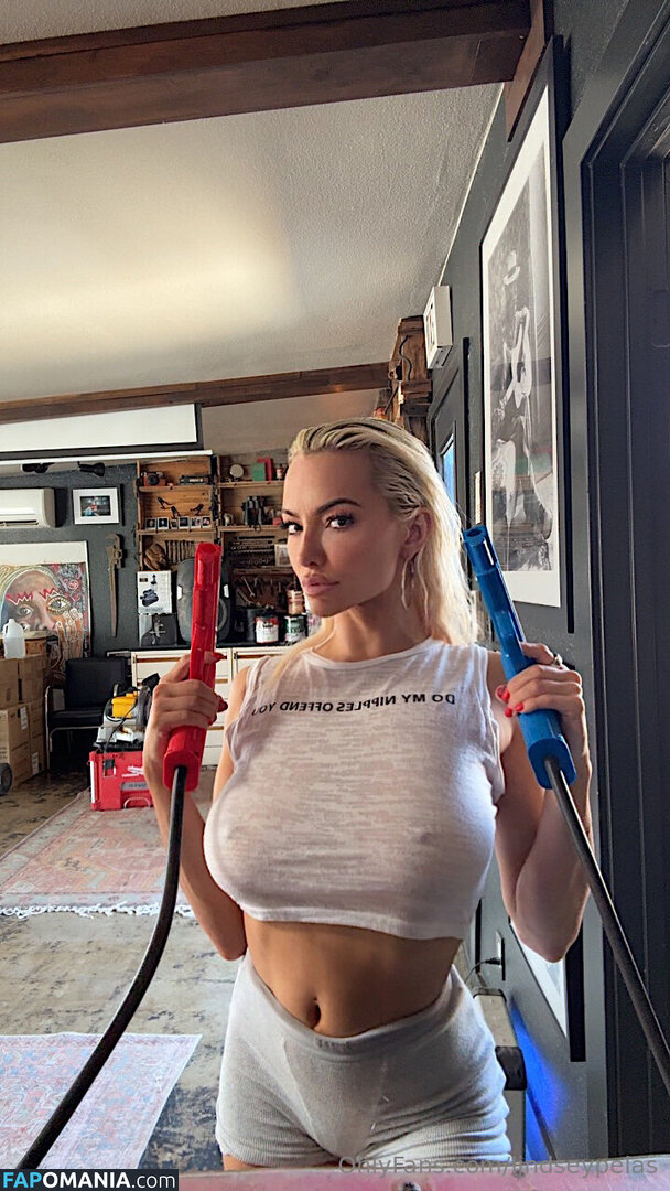 Lindsey Pelas / https: / lindseypelas / lindseypelas.co Обнажённый OnlyFans  Утёкшее фото #31