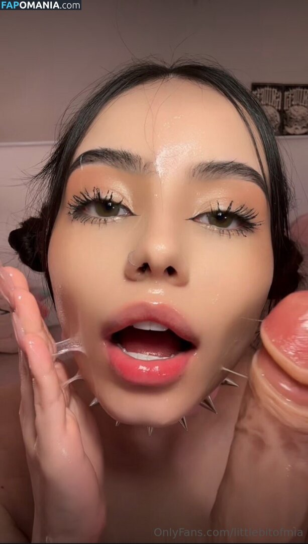 Littlebitofmia / tinybitofmia Обнажённый OnlyFans  Утёкшее фото #1