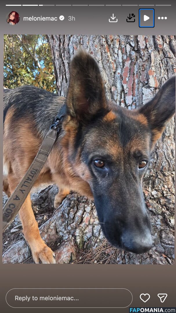 Melonie Mac / meloniemac Обнажённый OnlyFans  Утёкшее фото #14