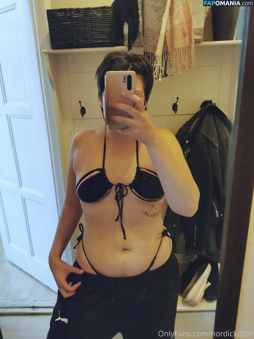 nordickitten Обнажённый OnlyFans  Утёкшее фото #25