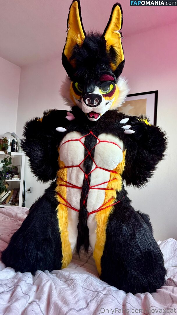 novaxcat / novaxxcat Обнажённый OnlyFans  Утёкшее фото #1