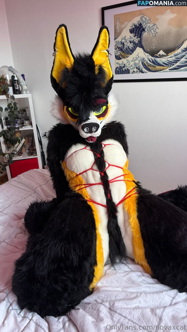 novaxcat / novaxxcat Обнажённый OnlyFans  Утёкшее фото #2