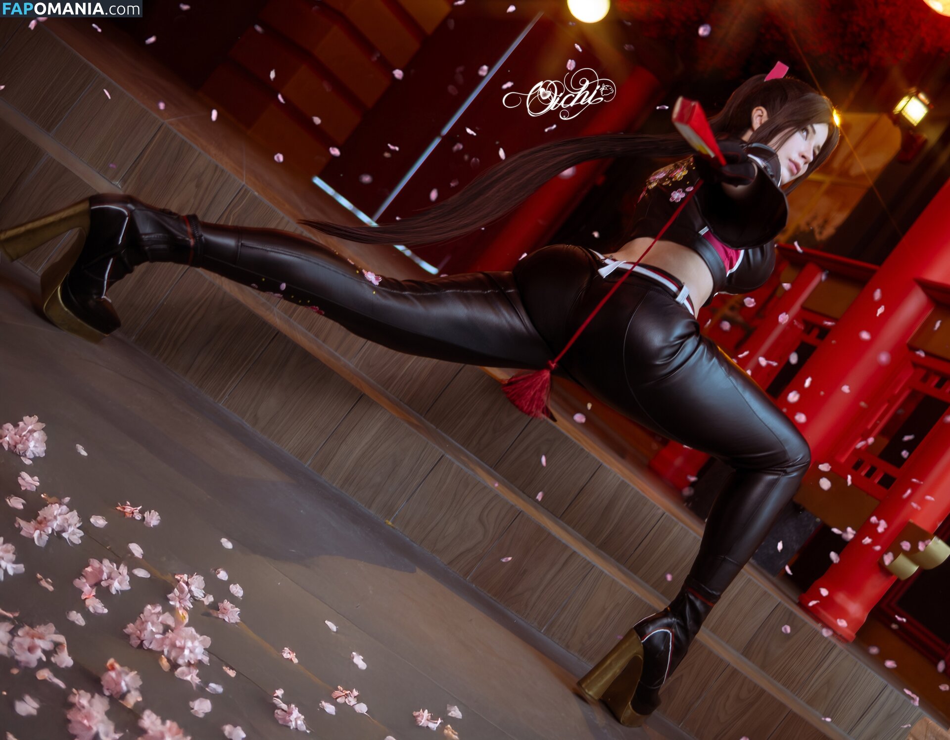 LadyOichiChan / Oichi / oichichan Обнажённый OnlyFans  Утёкшее фото #1608