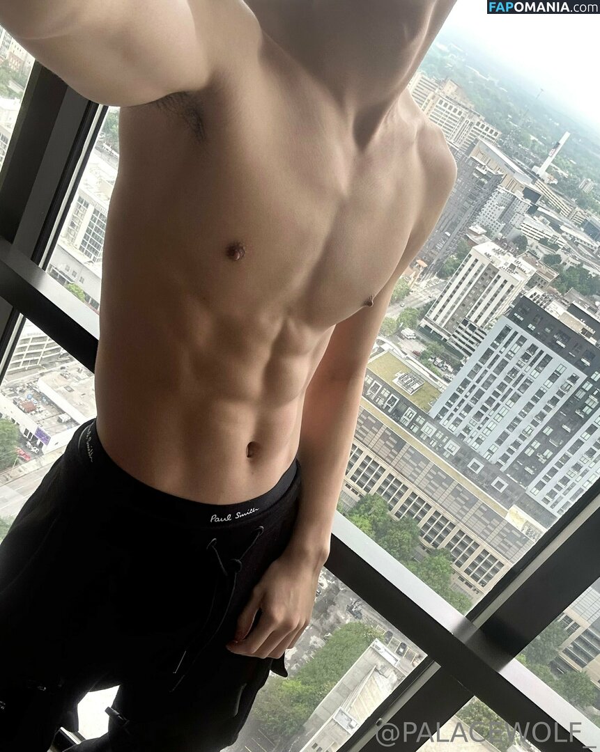 palacewolf / palacewolfent Обнажённый OnlyFans  Утёкшее фото #4