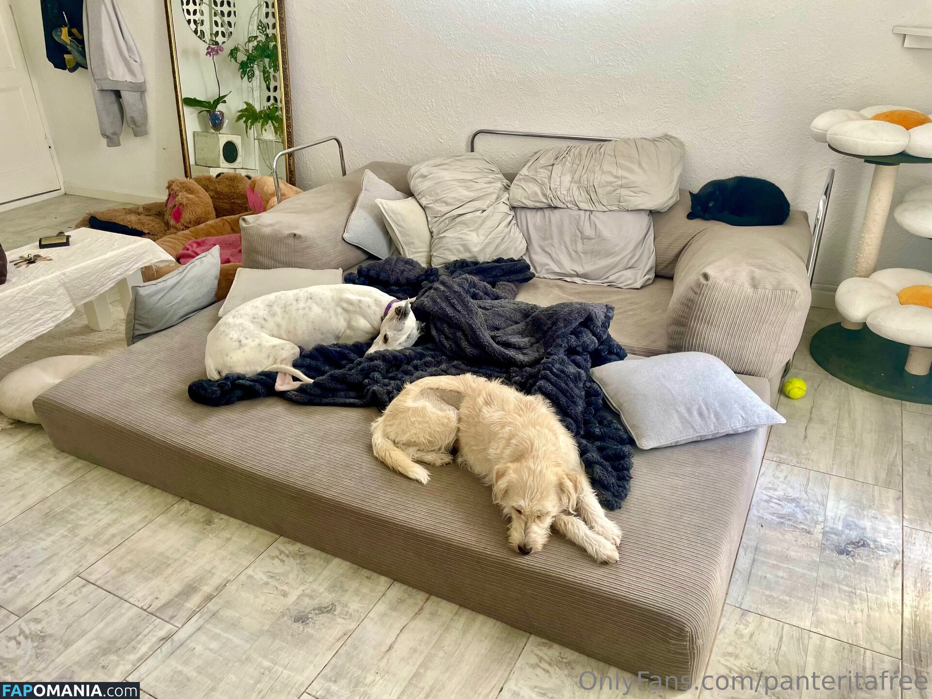 panteritafree Обнажённый OnlyFans  Утёкшее фото #6