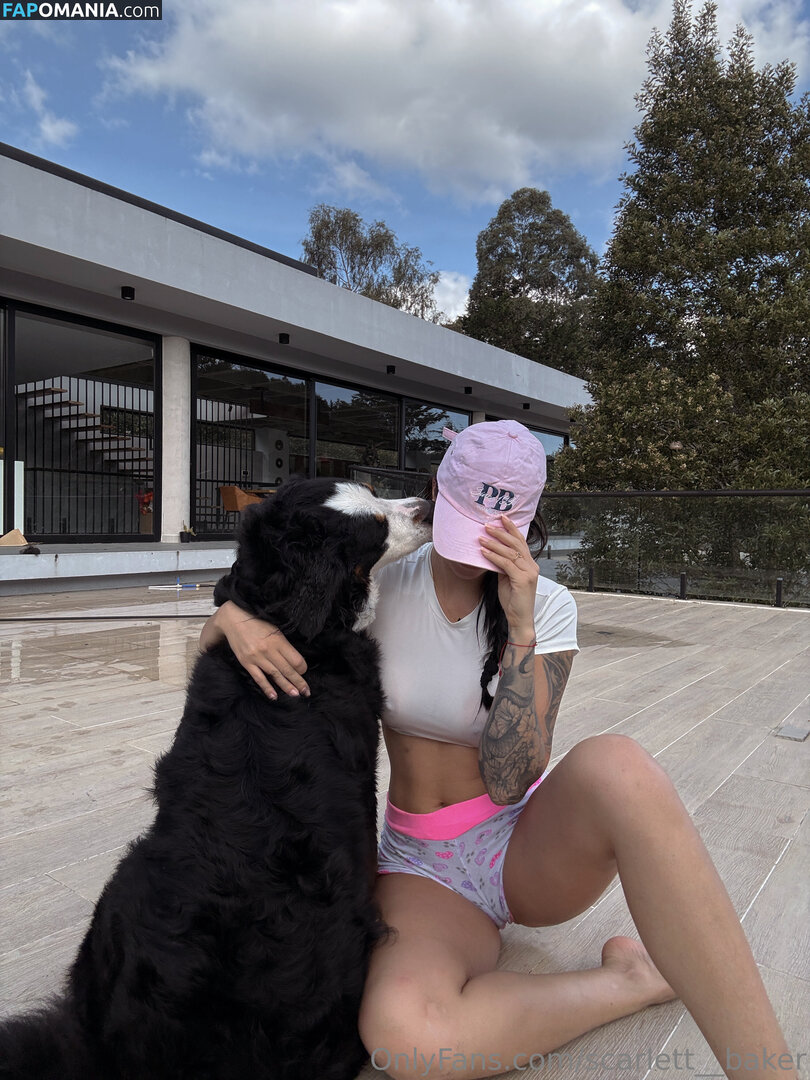 Scarlett Baker / scarlett__bake / scarlett__baker / scarlett__baker11 Обнажённый OnlyFans  Утёкшее фото #1