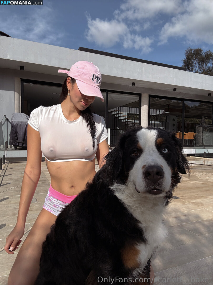 Scarlett Baker / scarlett__bake / scarlett__baker / scarlett__baker11 Обнажённый OnlyFans  Утёкшее фото #4