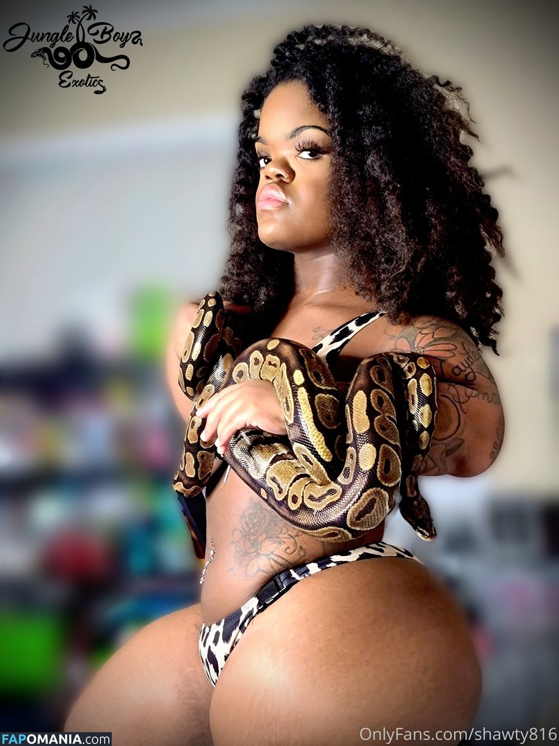 OnlyShawty816 / bigshawty816 / shawty816 Обнажённый OnlyFans  Утёкшее фото #12