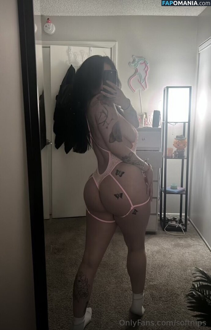Softnips_ / katie provencio / softnips / softtnips_ Обнажённый OnlyFans  Утёкшее фото #5