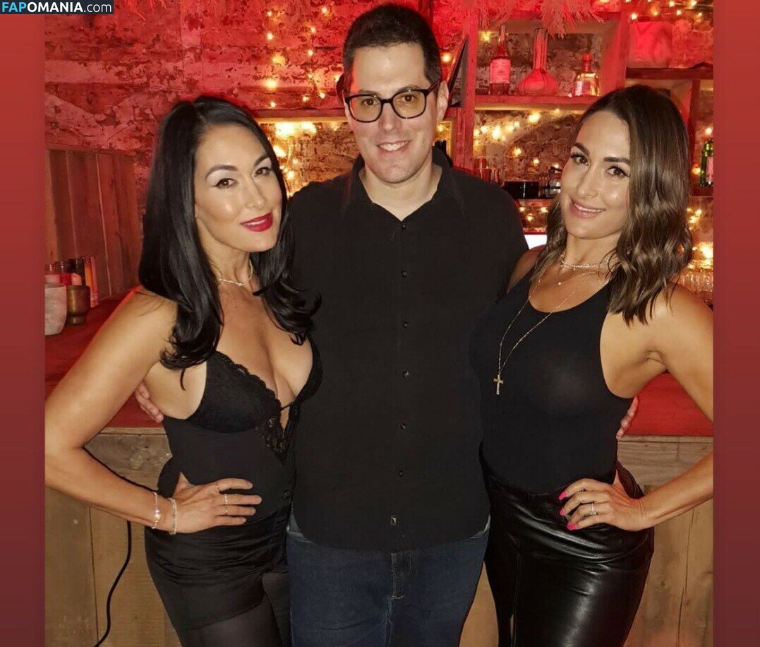 Nikki Bella & Brie Bella / The Bella Twins / thenikkibella Обнажённый OnlyFans  Утёкшее фото #202