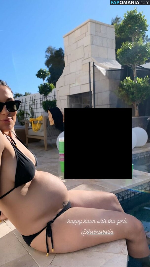 Nikki Bella & Brie Bella / The Bella Twins / thenikkibella Обнажённый OnlyFans  Утёкшее фото #266