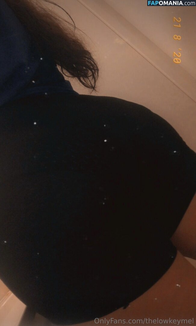 TheLowkeyMel / theofficiallmel Обнажённый OnlyFans  Утёкшее фото #7